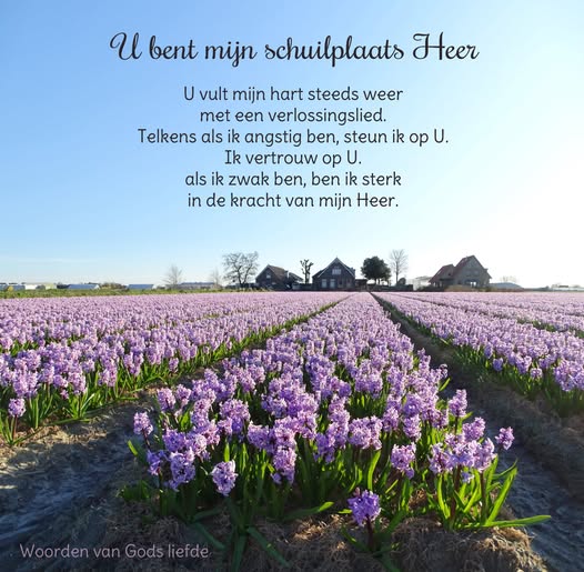 Uit Psalm 91:1-6,9-16 (Basisbijbel, BGT)