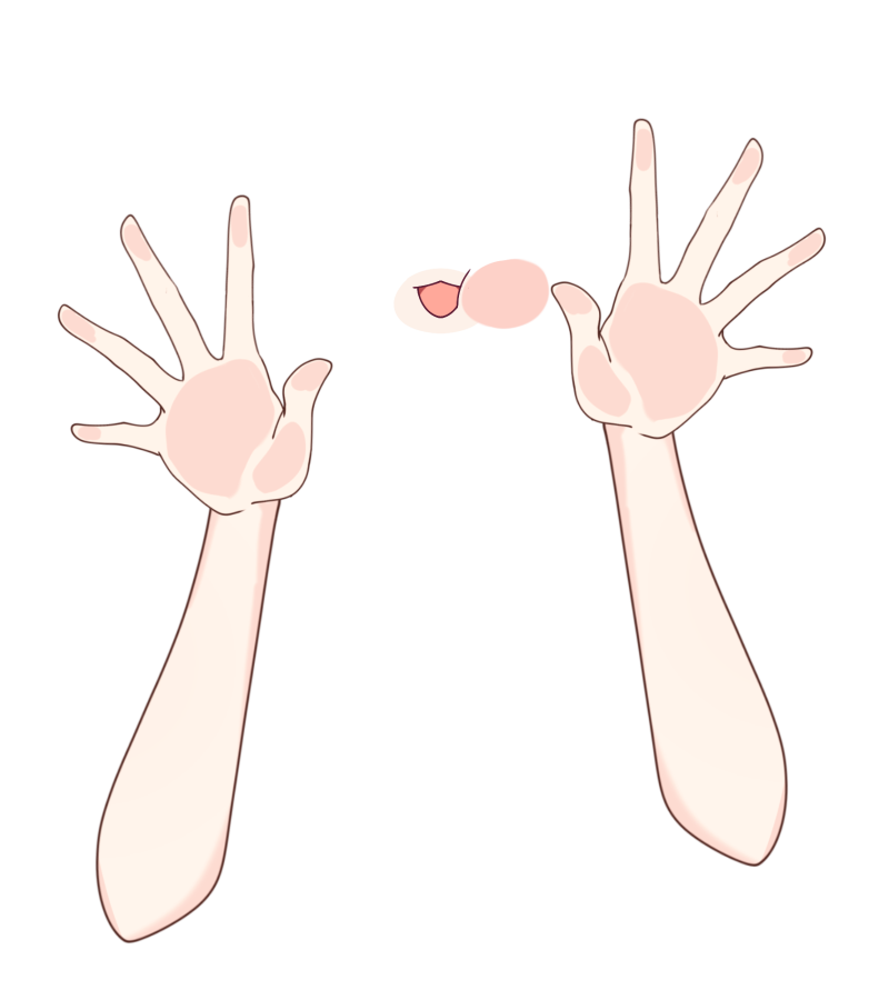 遊🐳イラストレーター tweet media