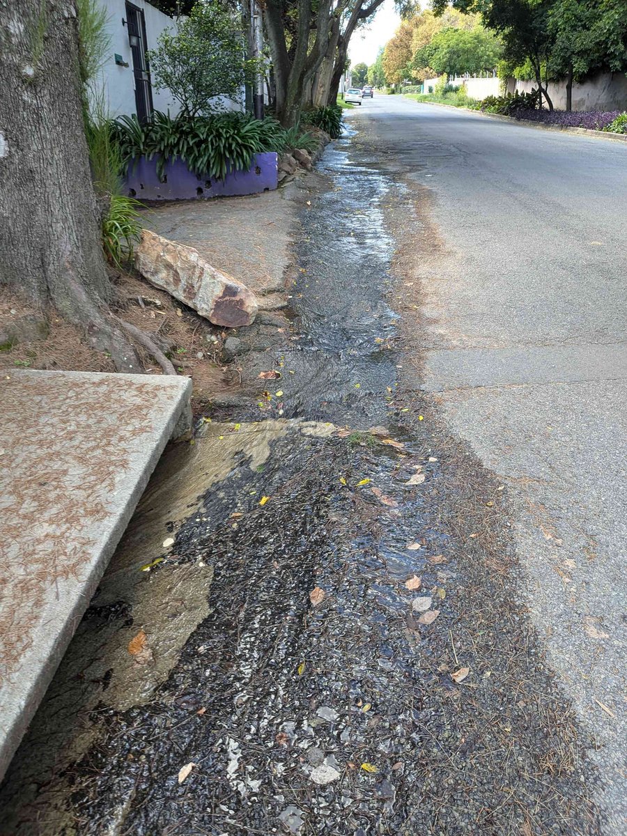 Simone Double-Masked Puterman tweet media