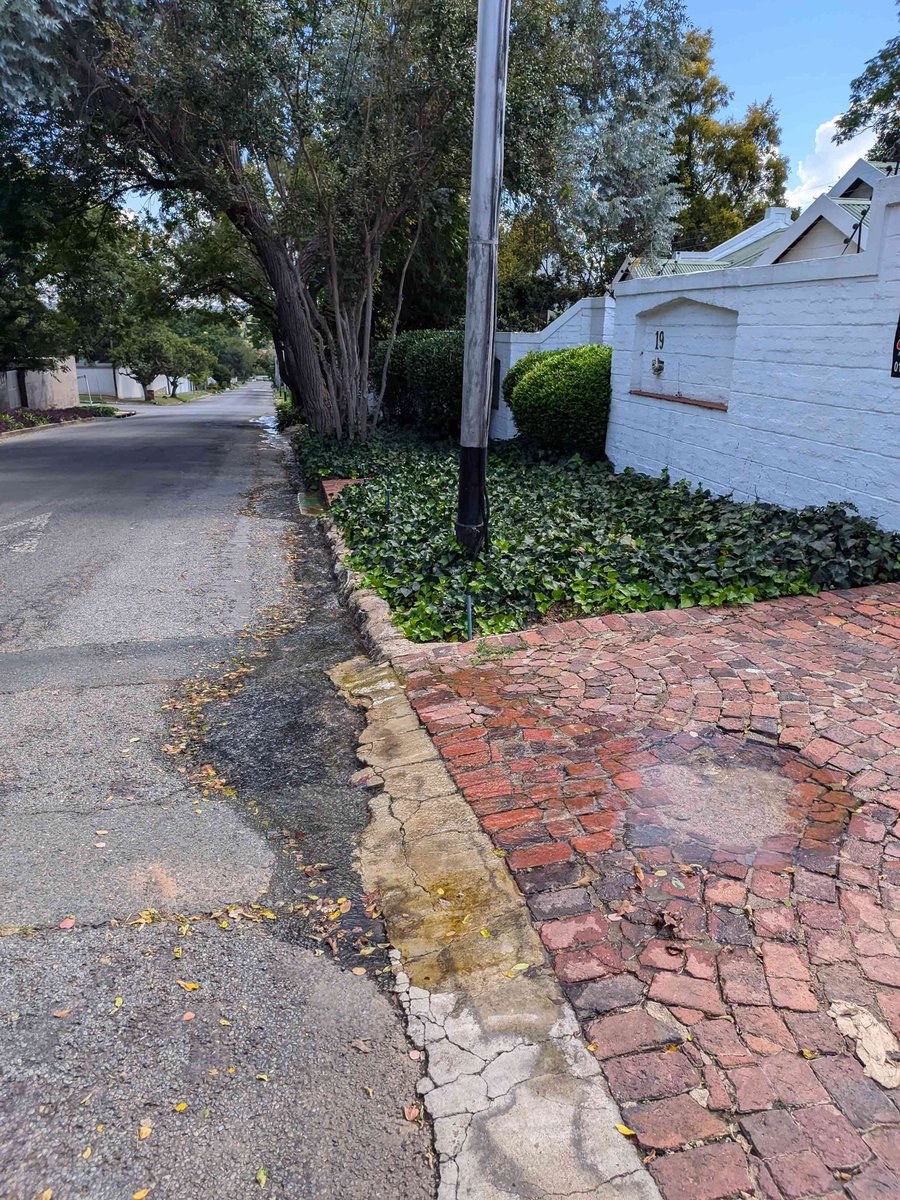 Simone Double-Masked Puterman tweet media