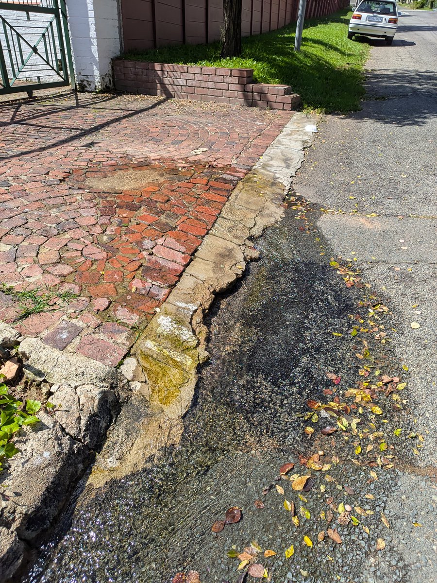 Simone Double-Masked Puterman tweet media