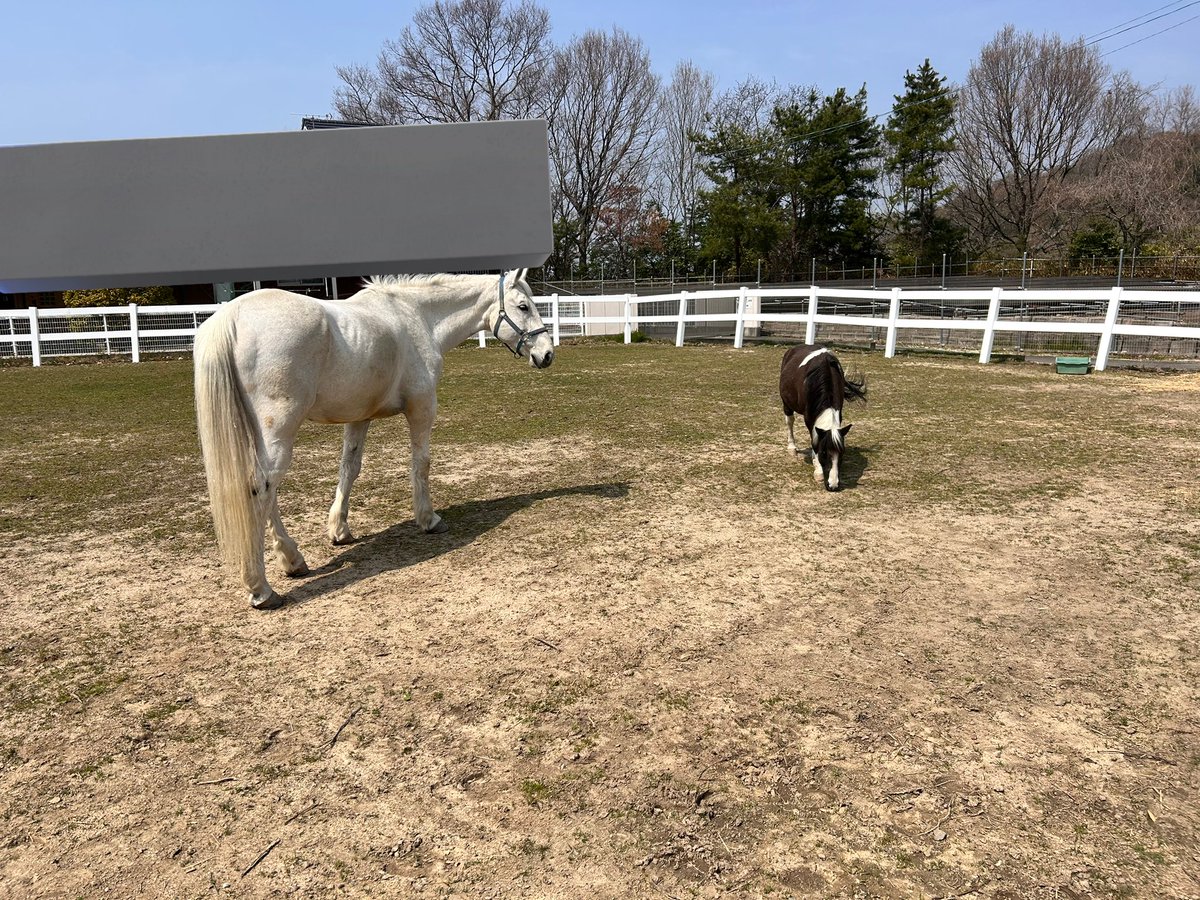 だんご@🍡🙏 tweet media