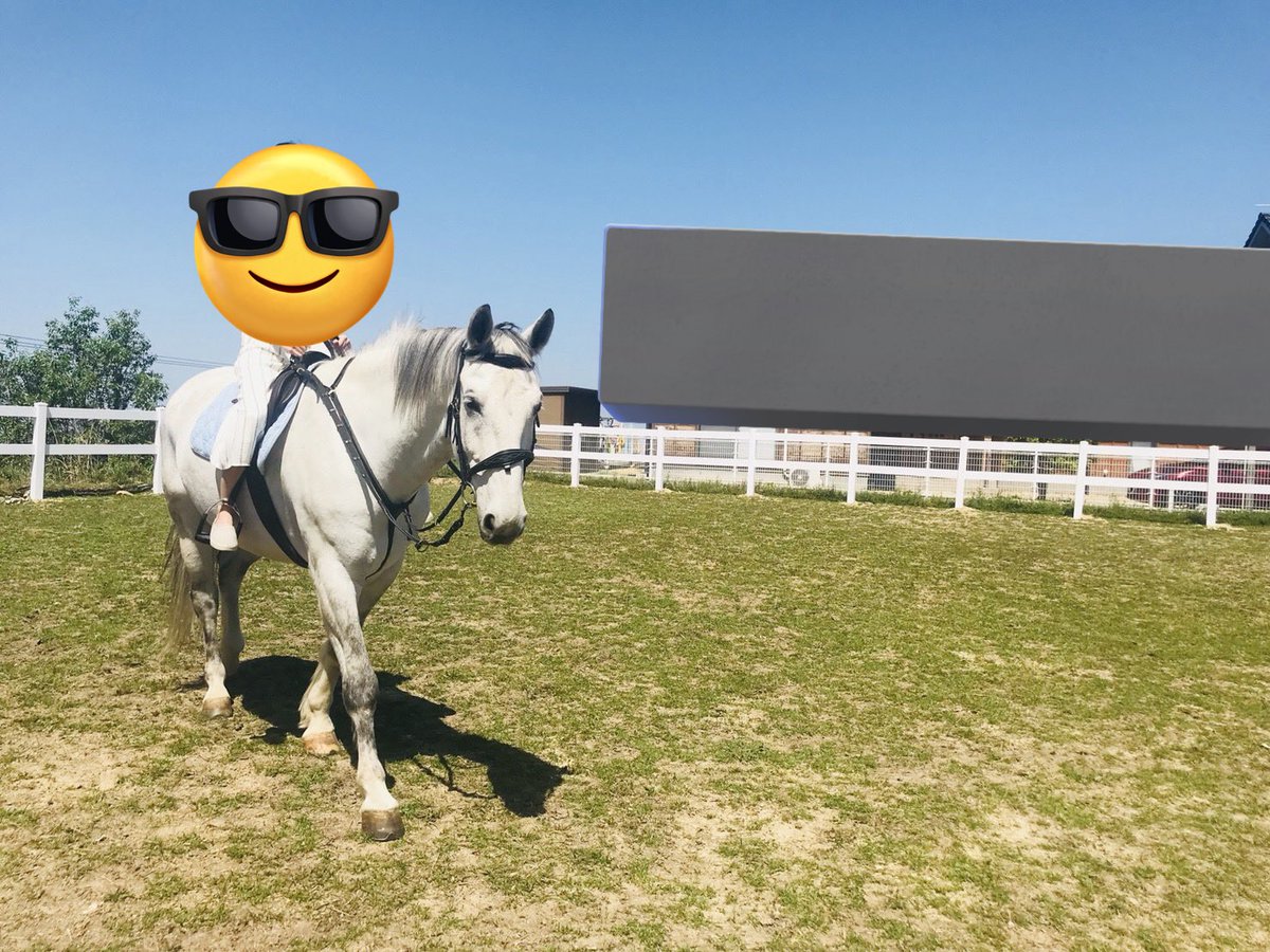 だんご@🍡🙏 tweet media