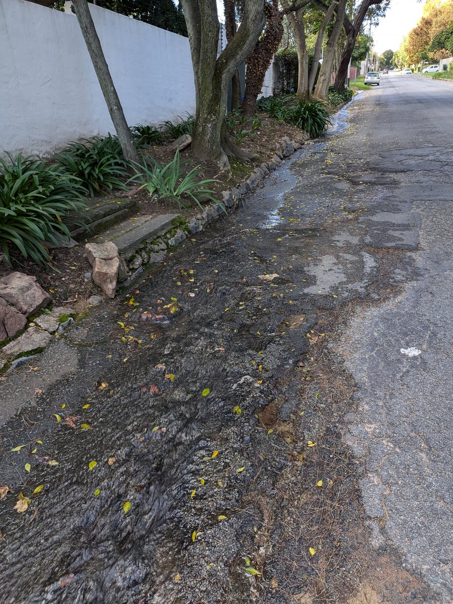 Simone Double-Masked Puterman tweet media