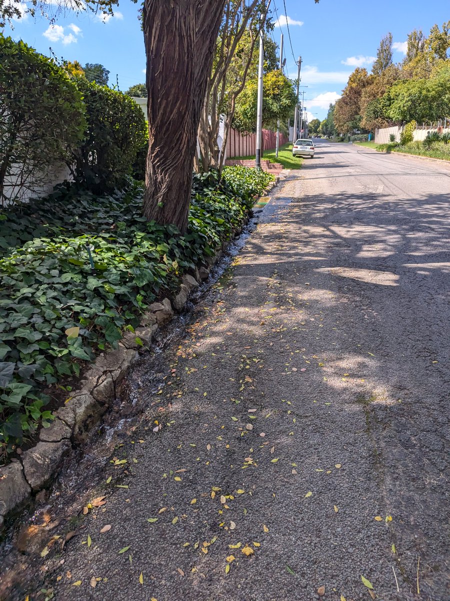 Simone Double-Masked Puterman tweet media