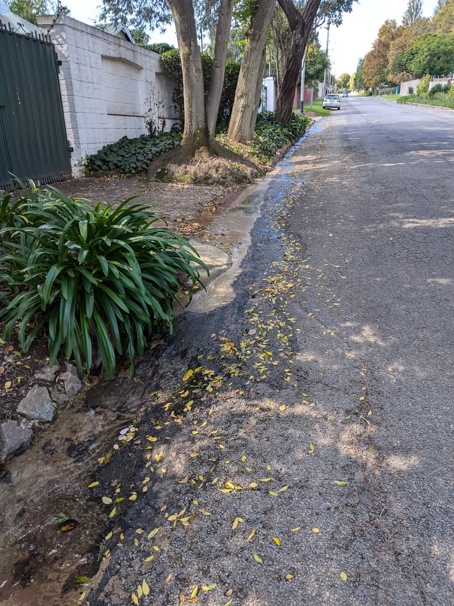 Simone Double-Masked Puterman tweet media