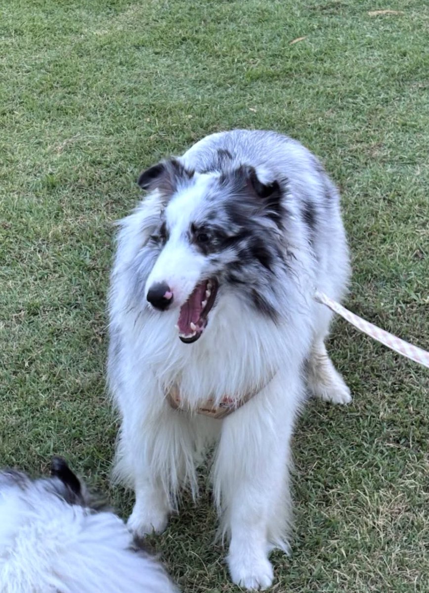 เจเนทโตมาก 😭