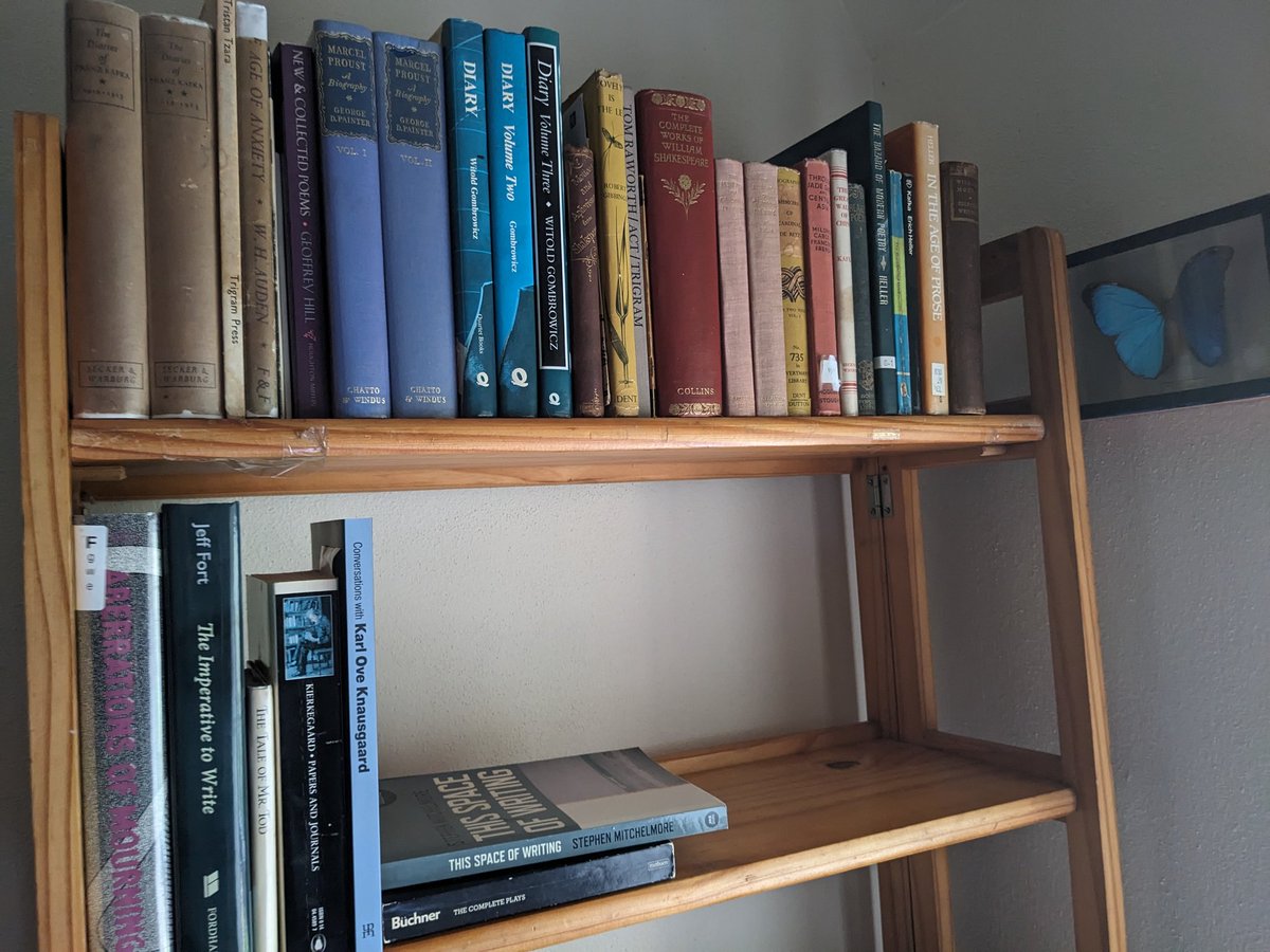 Daniel Fraser tweet media