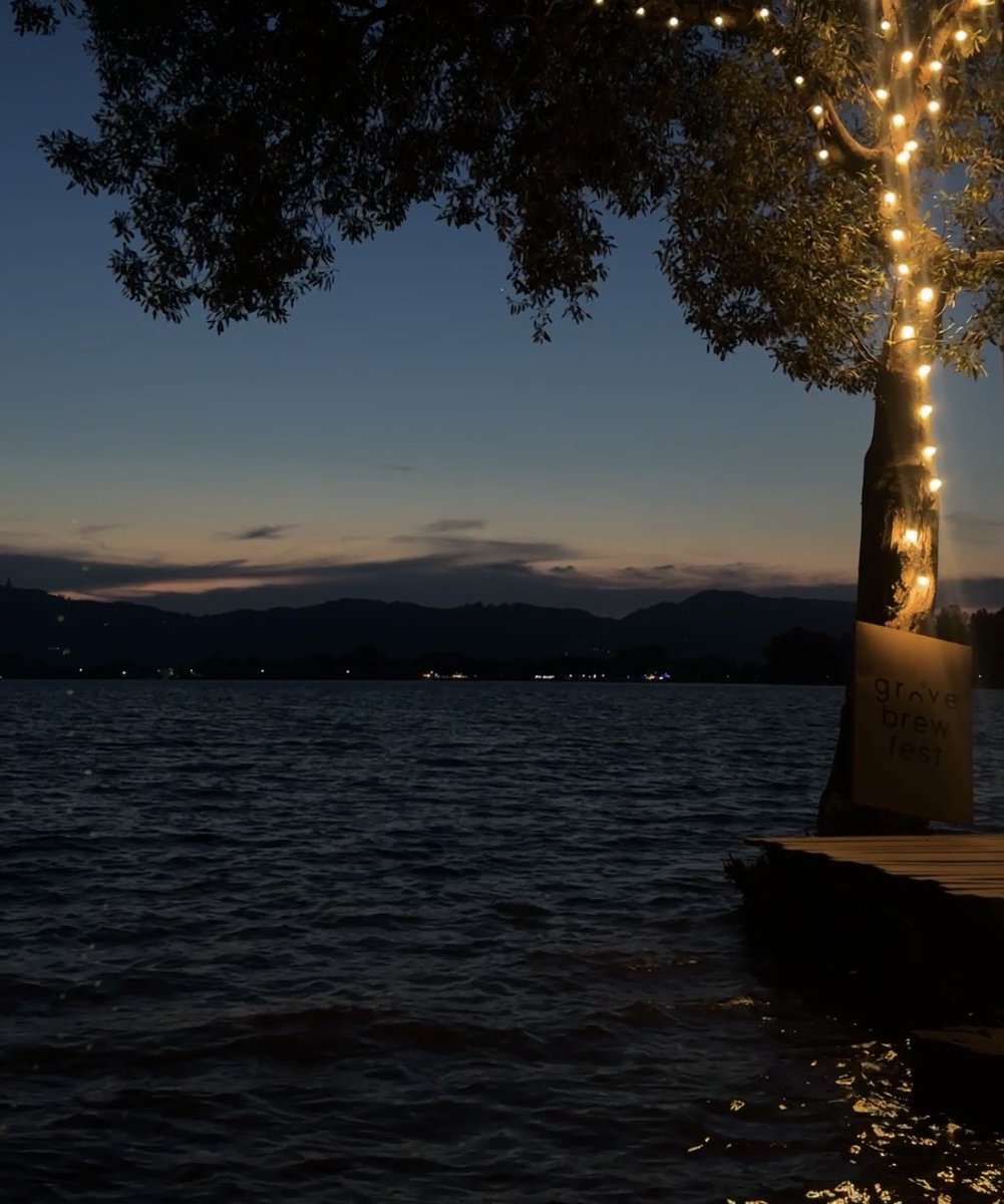 Chewyi ໒꒱ tweet media