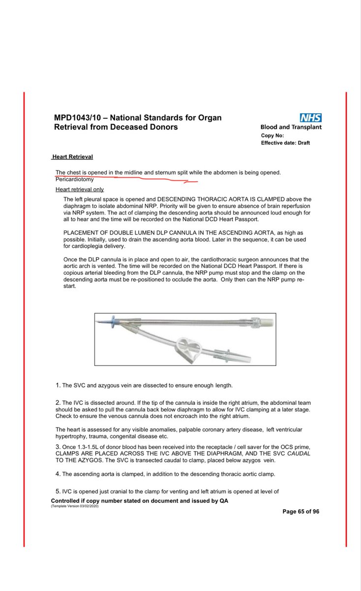 Kate Shemirani tweet media