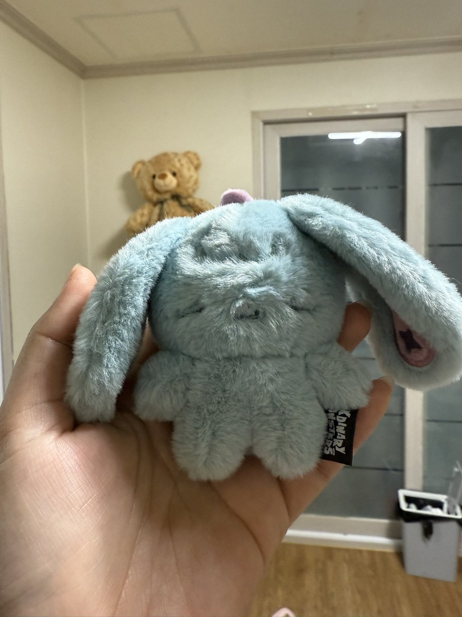 Laura 🐰🥕 tweet media