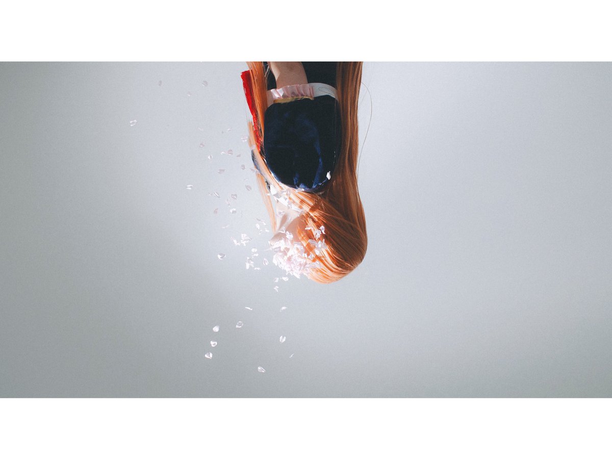 ももか🐾 tweet media