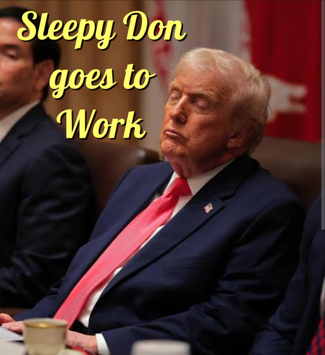 <a href="/dbongino/">Dan Bongino</a> Is he? 
Seems more like his administration is running around him, and he is just there for a nap.
