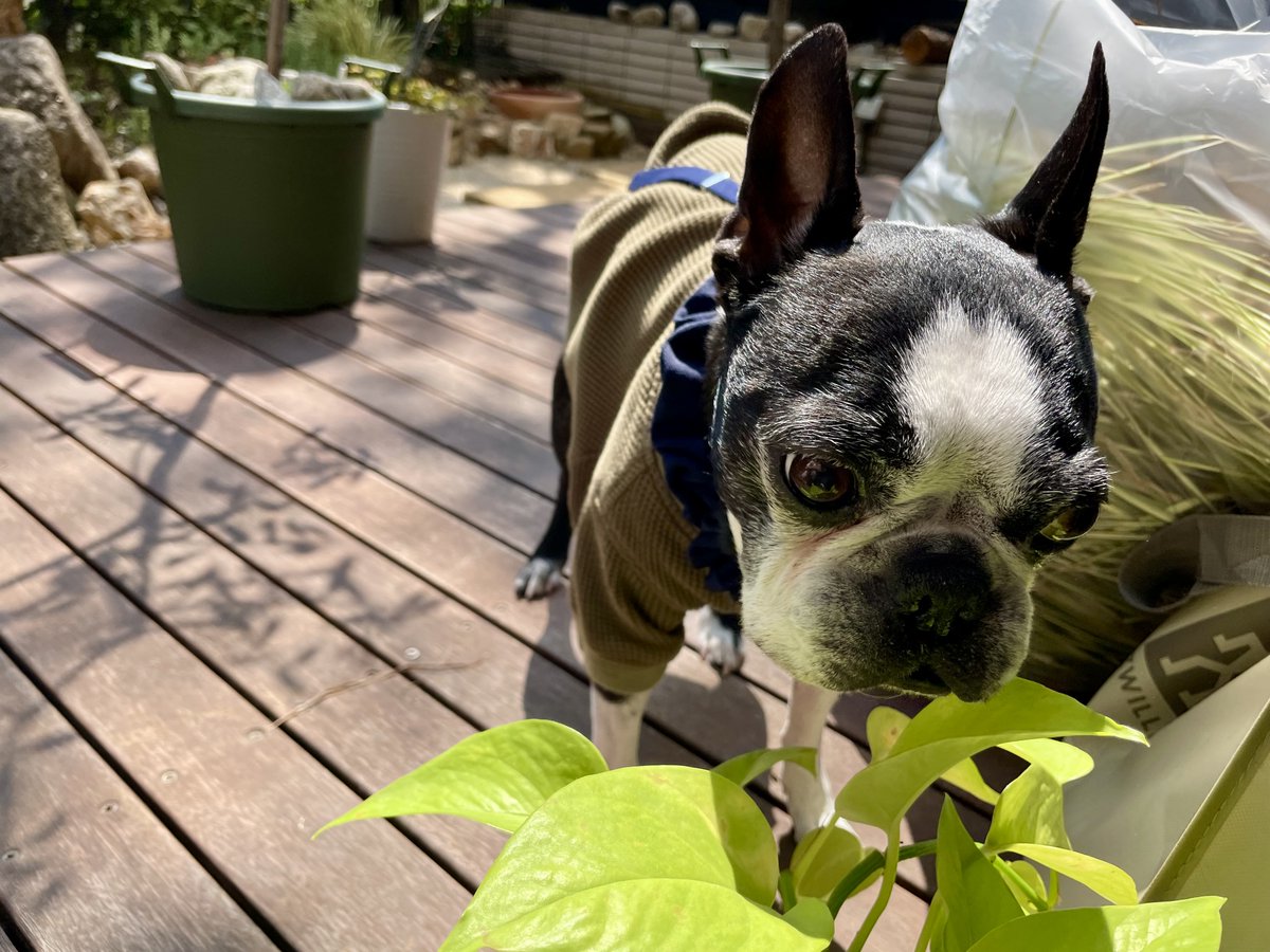 Shigetsu Takayama tweet media