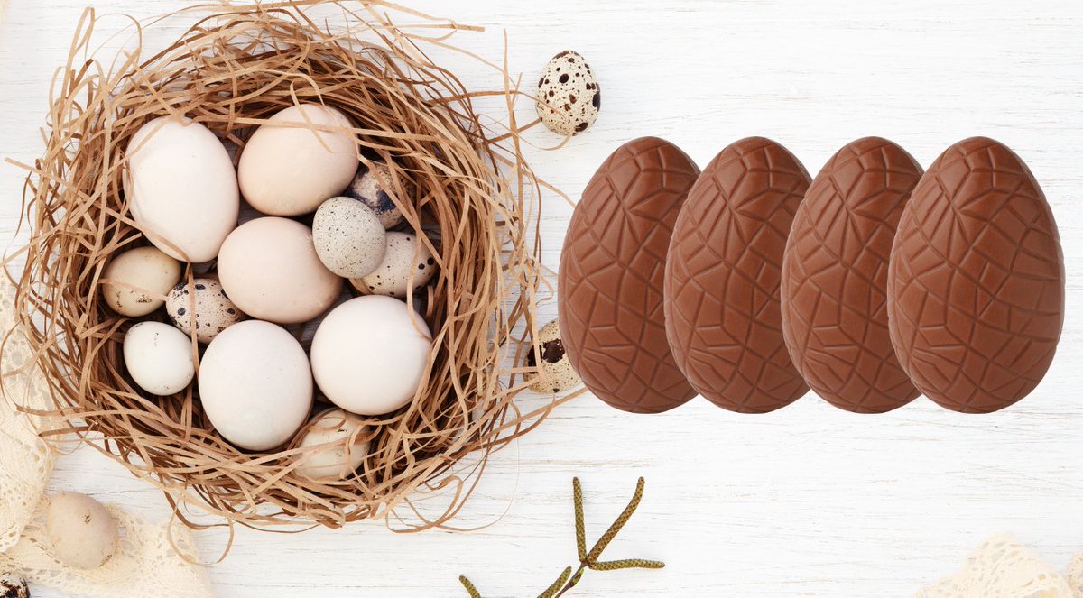 Phoenix Delite tweet media