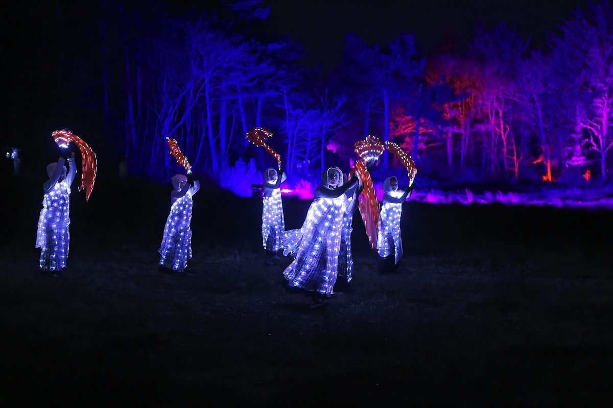 Albert Wester Terschelling Photography  tweet media