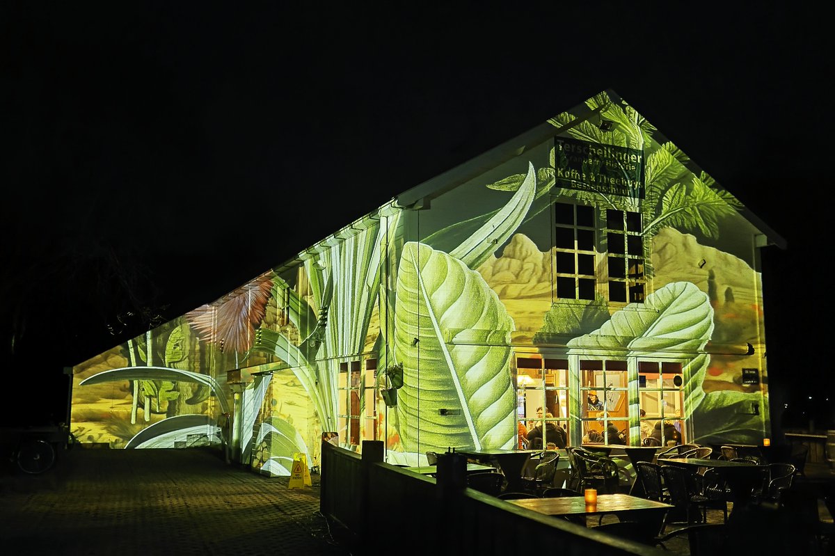 Albert Wester Terschelling Photography tweet media