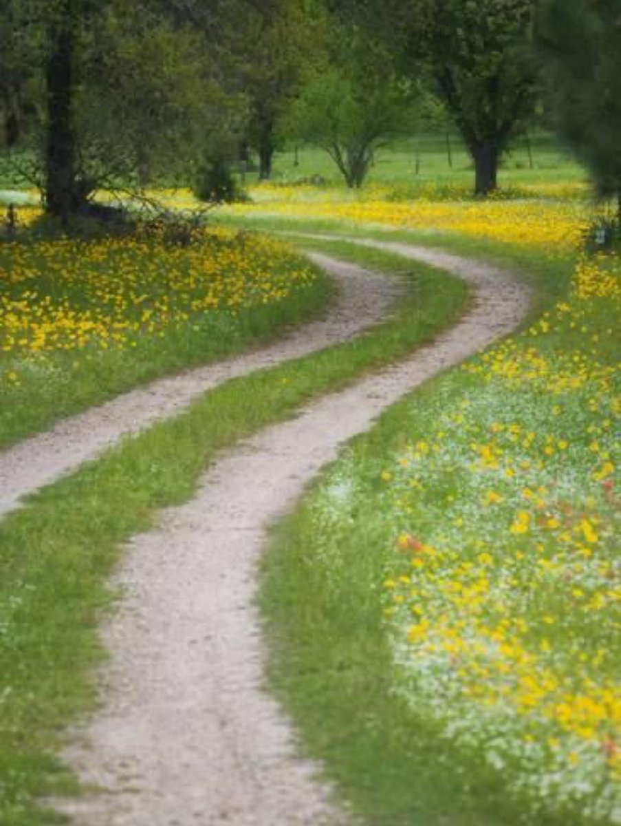 Hamilton 🇺🇸 tweet media