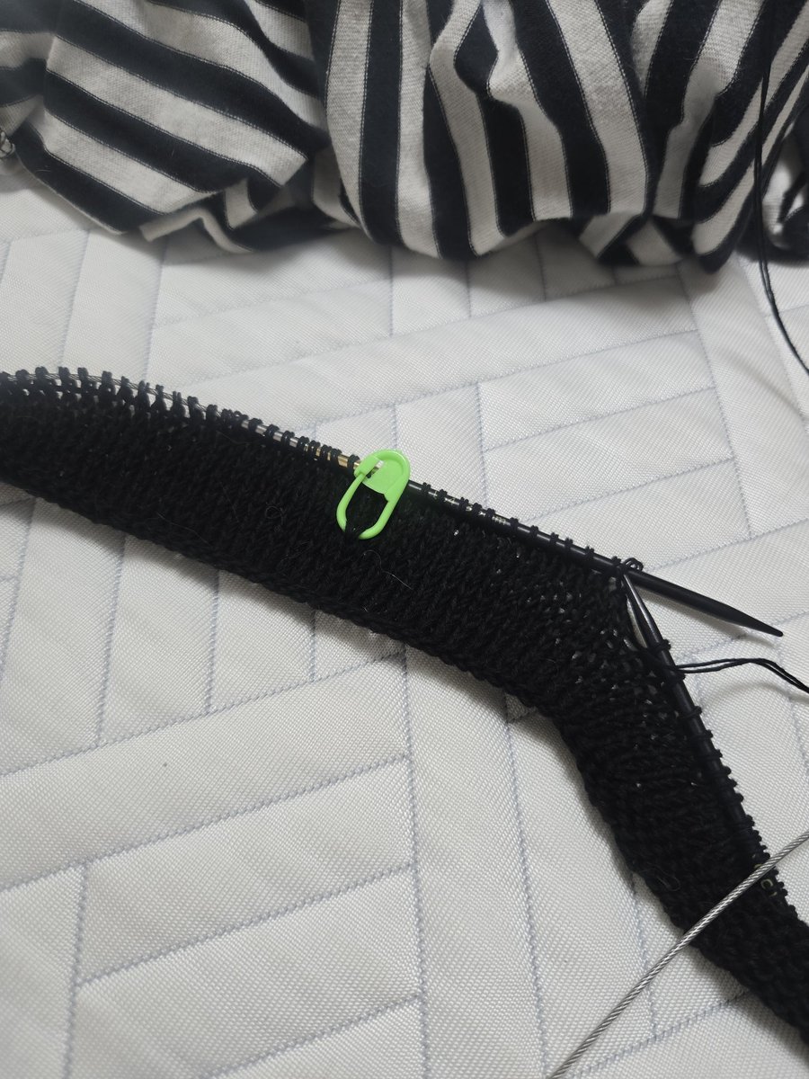 핫뜨걸🧶 tweet media