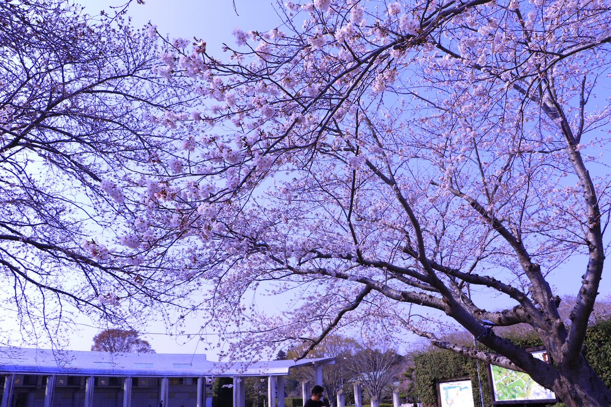 鹿島臨海鉄道りんてつ応援団 tweet media