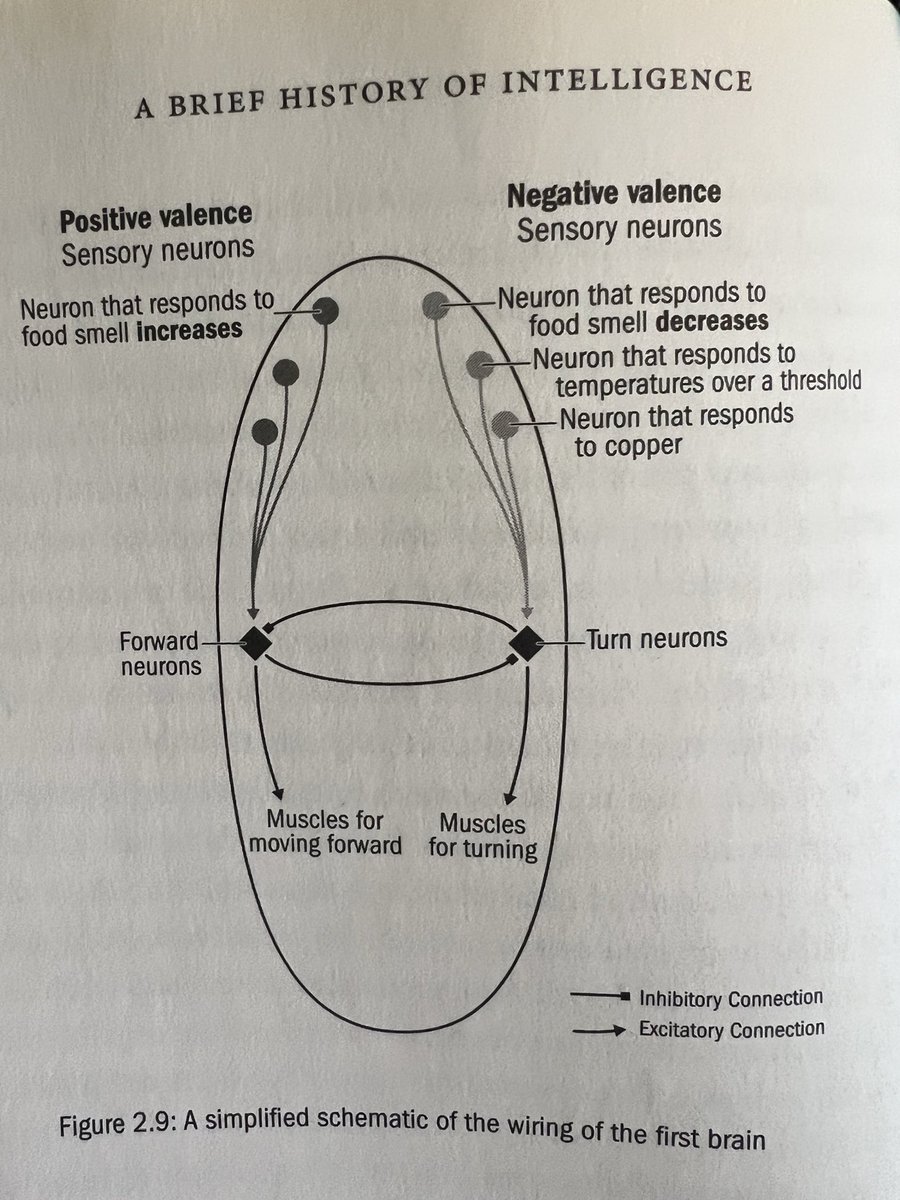 Matthew G Nagler tweet media