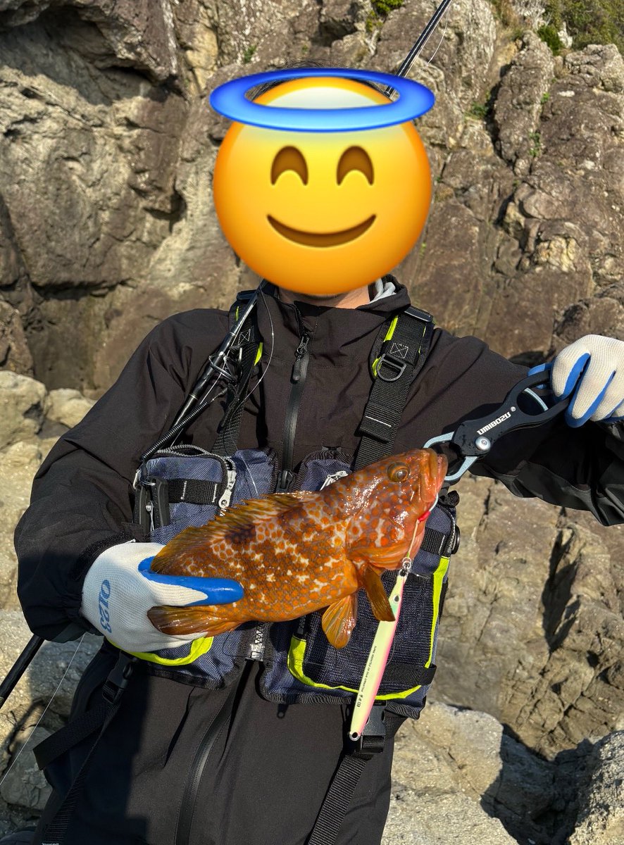 lotsway_onefish's tweet photo. 釣れる魚種が豊富なことも磯に行く大きなメリットです！離島では普段なかなか釣ることのできないヒラスズキやハタ類なども狙うことができます！
今回はあまりメインで狙うことがなかったのですが、無事ヒラスズキとキジハタもキャッチできました！ https://t.co/ILMCJcFzIp