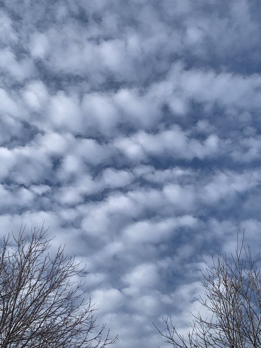 Kathleen Sharrit tweet media