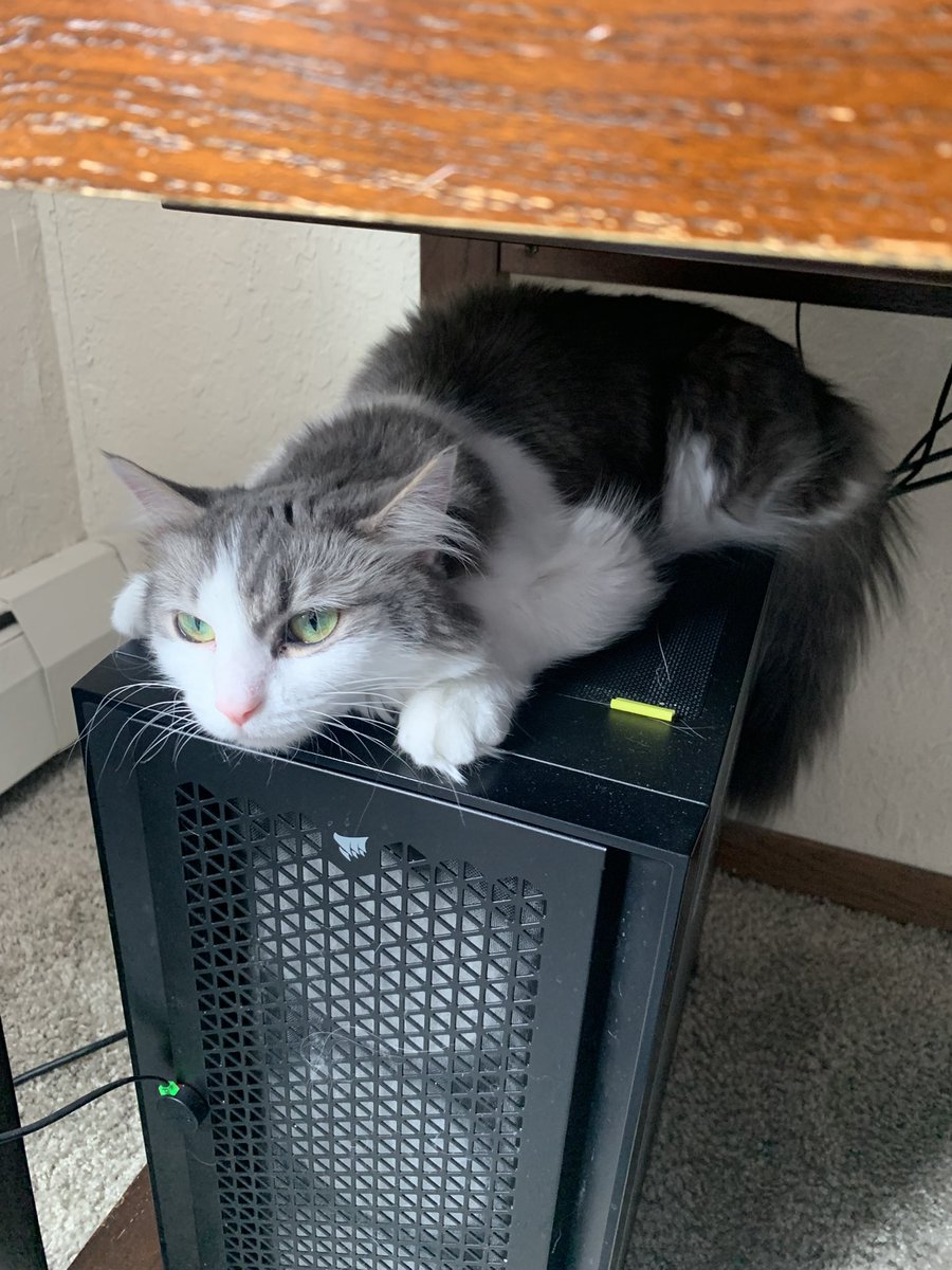 m9🇺🇸🦅 tweet media