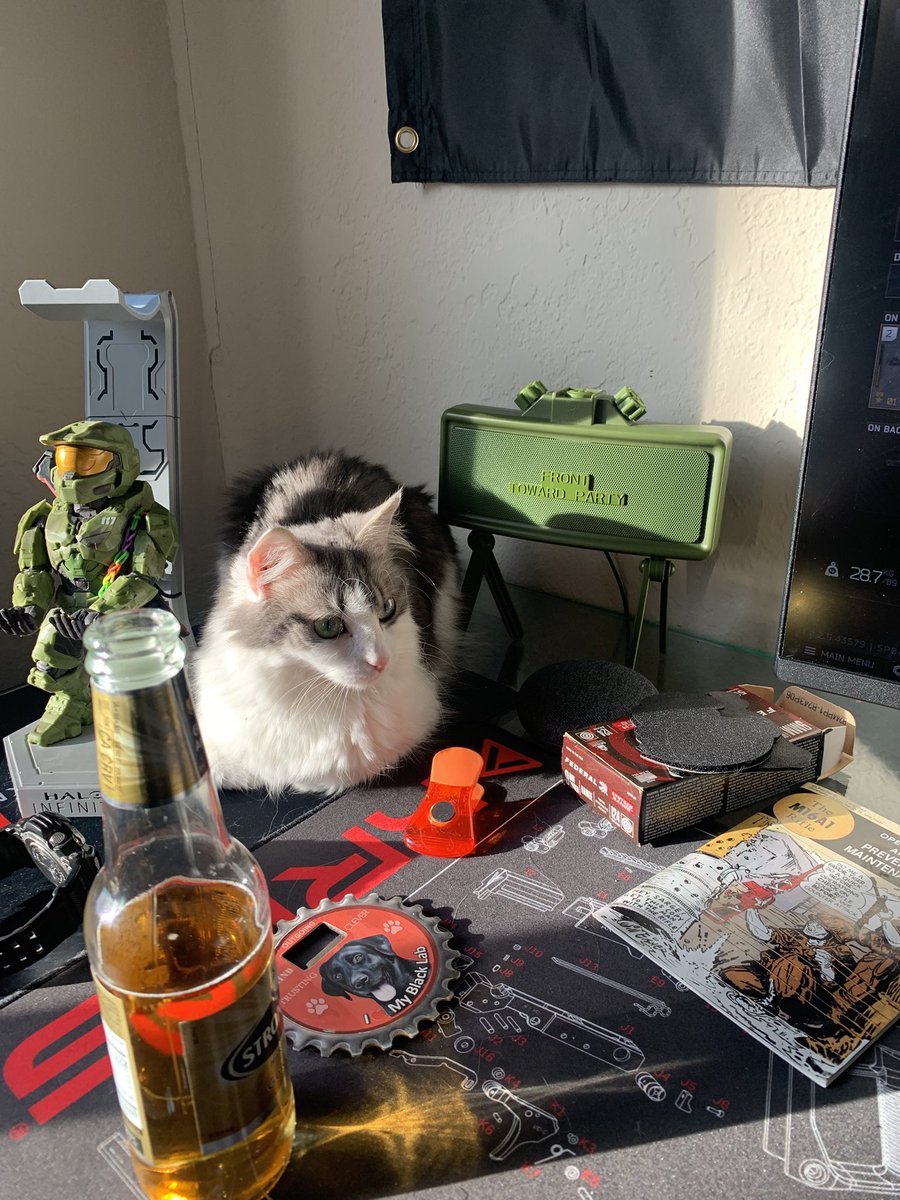 m9🇺🇸🦅 tweet media