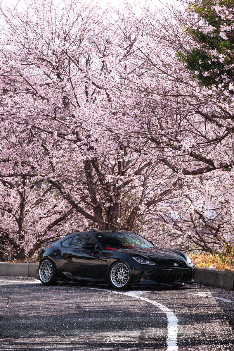 ほたか tweet media