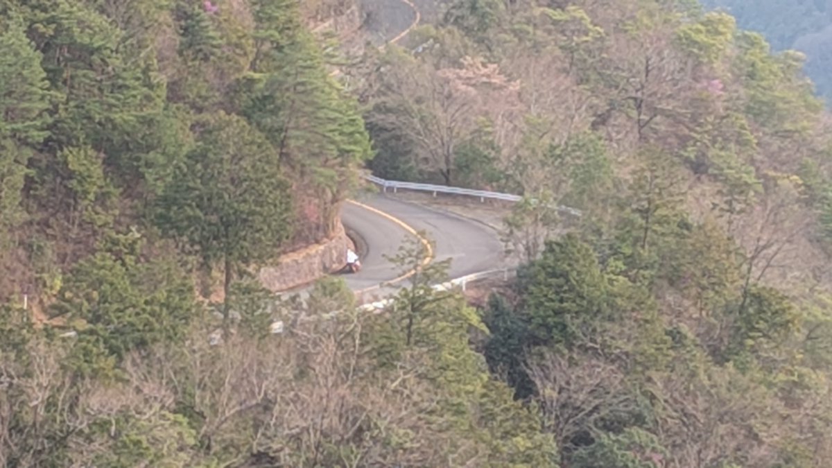 まるぐち tweet media