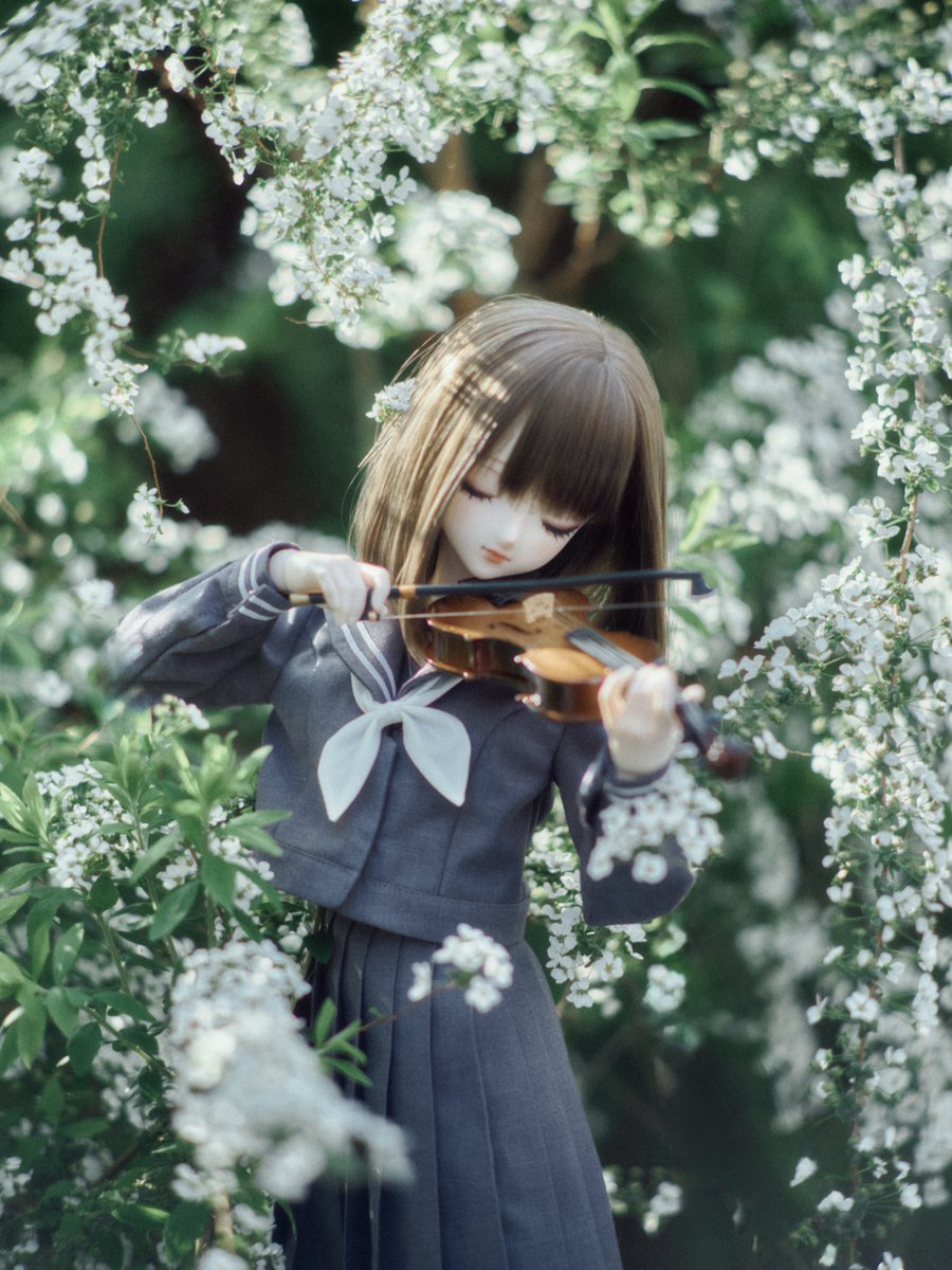 私立花乃咲女学院 tweet media