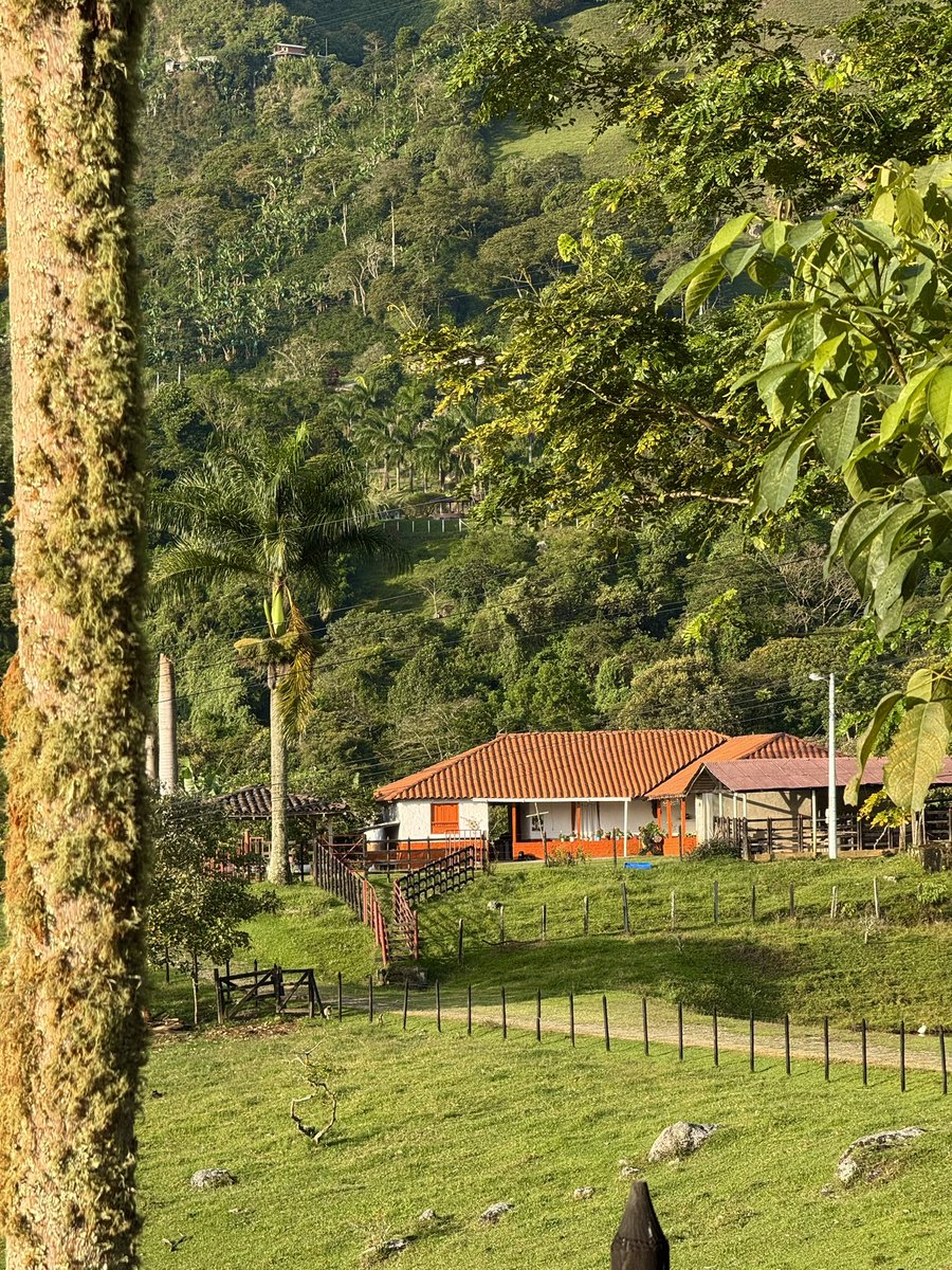 isabella tweet media