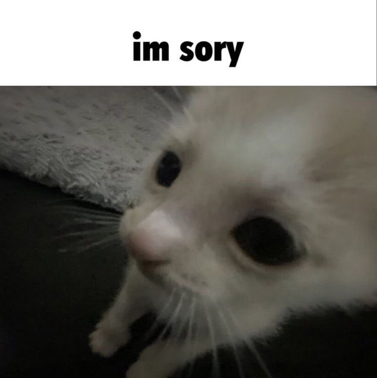 _ea1u's tweet photo. ich finde es nicht mehr lustig, wenn man mir sagt, ich soll mich auf adhs testen lassen, weil ich manchmal nicht aushaltbar bin. das verletzt meine gefühle https://t.co/mWuiLTW8U5