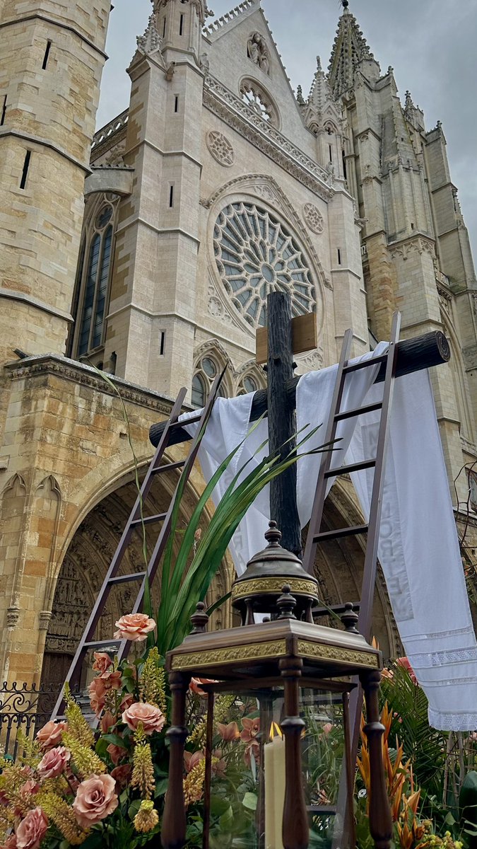 ℳarta ℒópez (fan account de nalis) tweet media