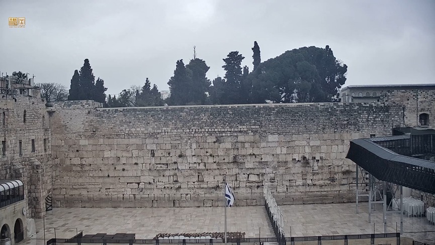 שירית אביטן כהן Shirit Avitan Cohen tweet media