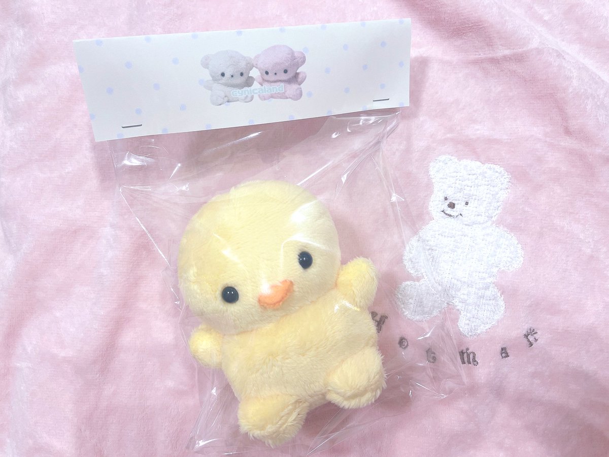 まるちゃん tweet media