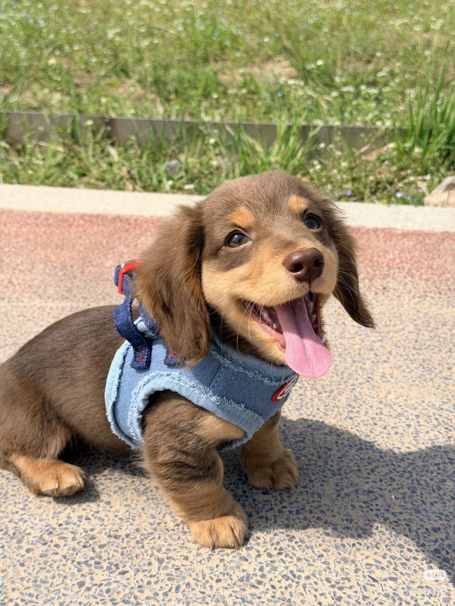 𝒯wilight S tweet media