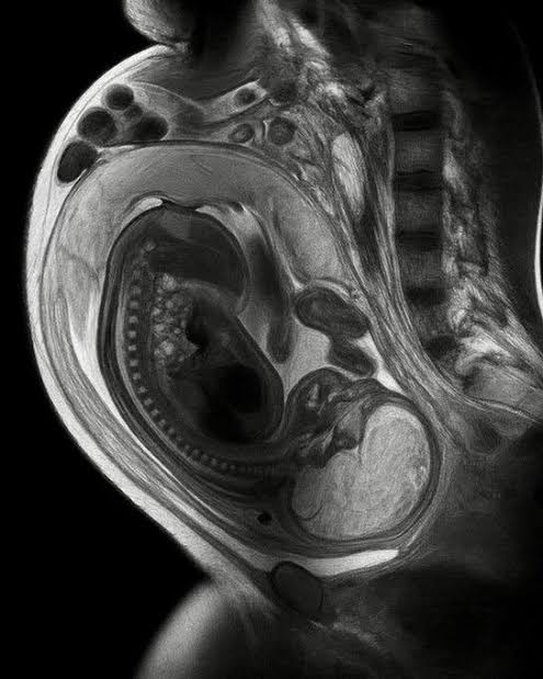 For all Curious tweet media