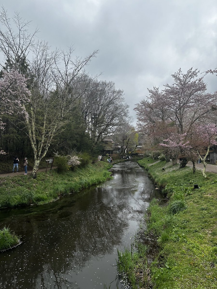 Rama Dewa tweet media