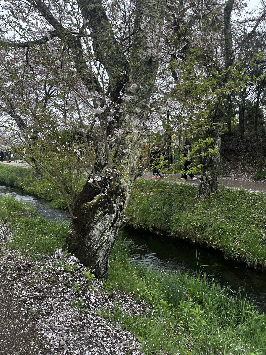 Rama Dewa tweet media