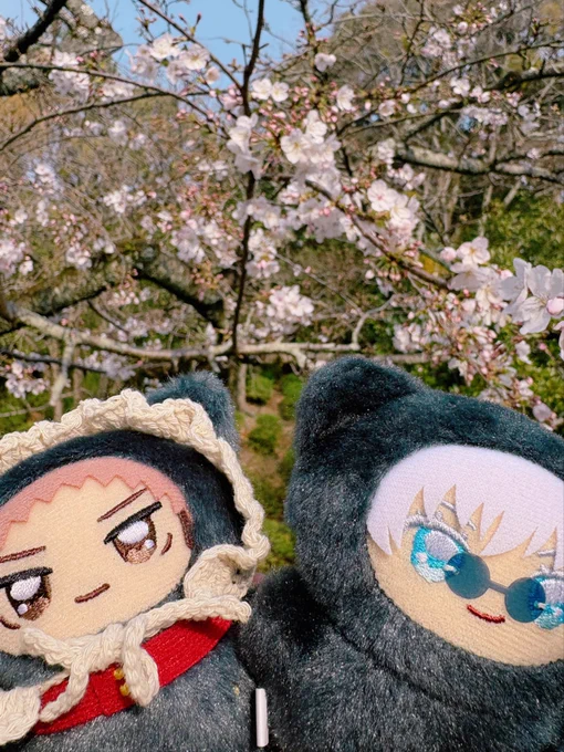いっしょに桜をみにいけました