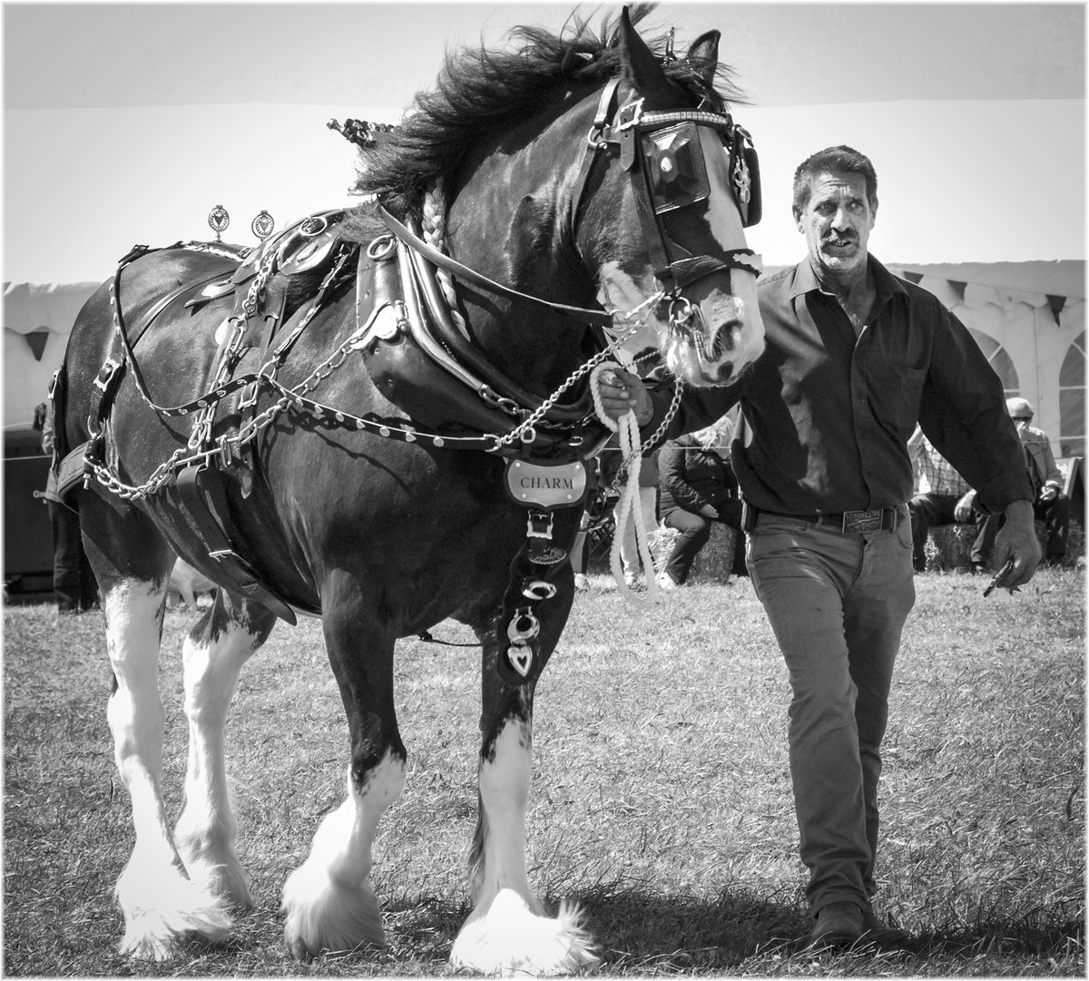 Richard Jones tweet media