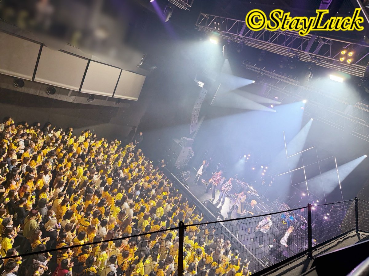 Stay-Luck_Official tweet media