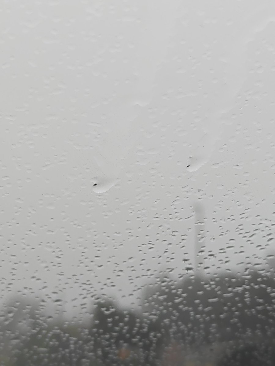 Daniel Jacobovitz 🖖🏀💻📈🫂 tweet media