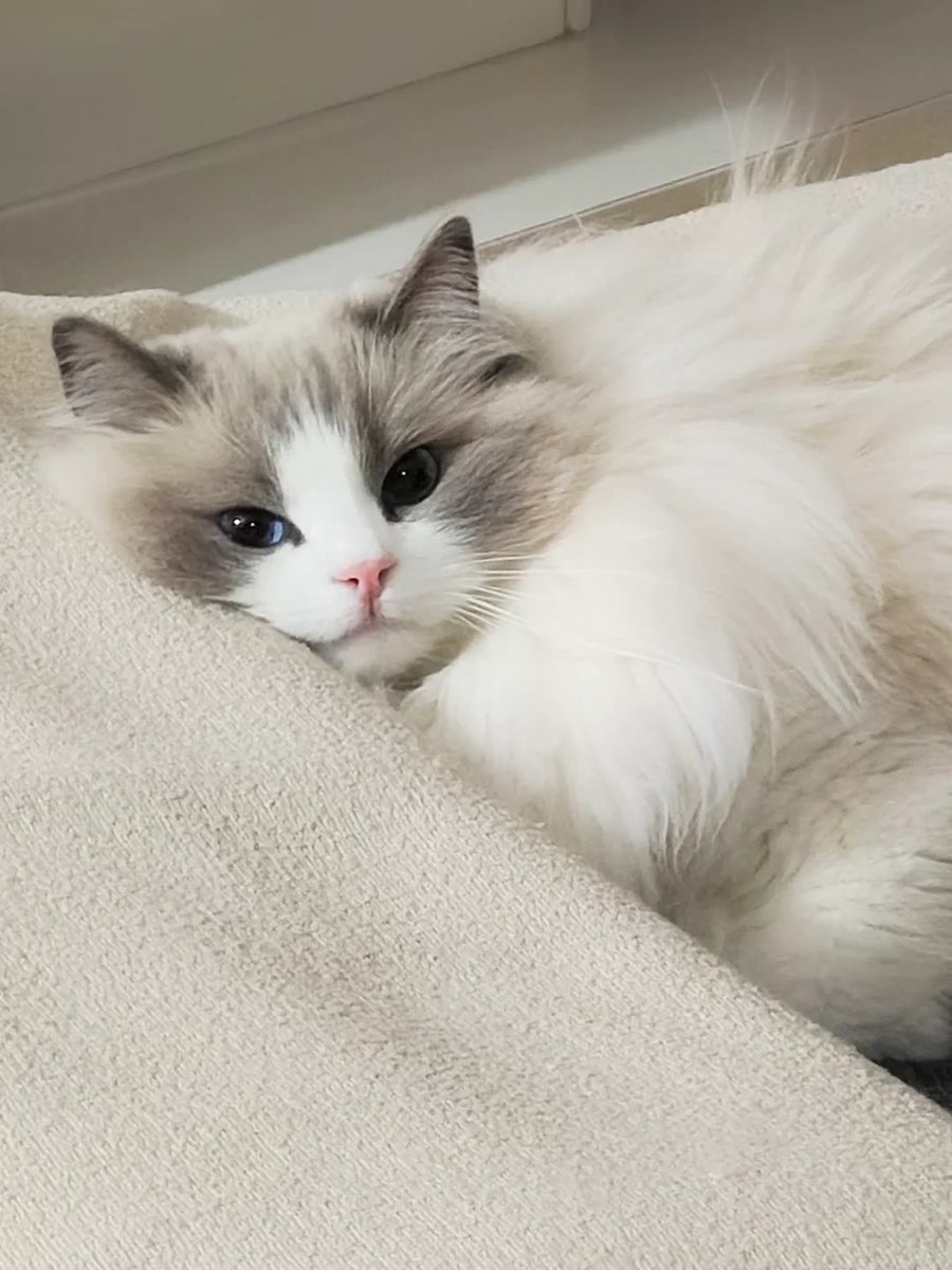 ButalanehaNeha's tweet photo. 福州会所🧰😦 https://t.co/s9NKuHl5sb
