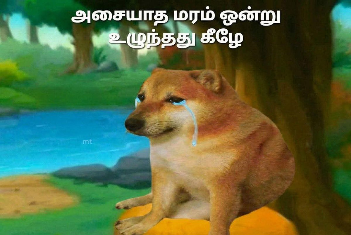 R3Rdhr's tweet photo. @WorshipDhoni https://t.co/ZwJHFGoWpr
