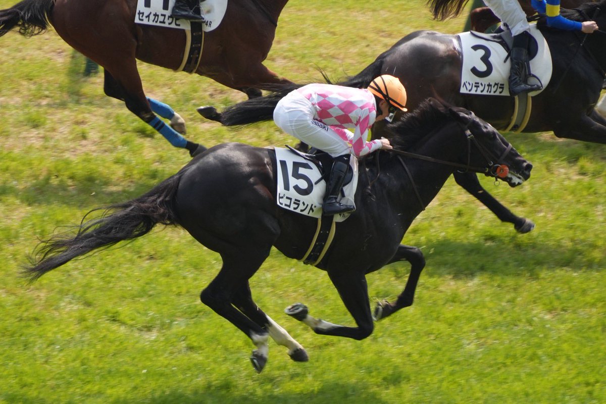 ピコレーシング tweet media