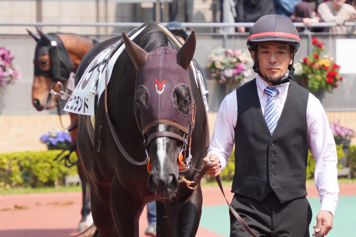 ピコレーシング tweet media