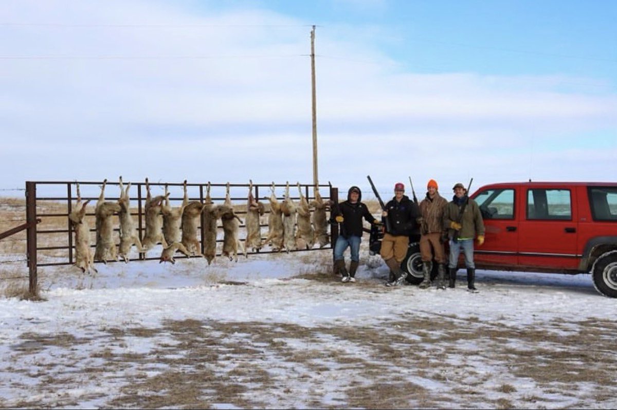 Scott Assman tweet media